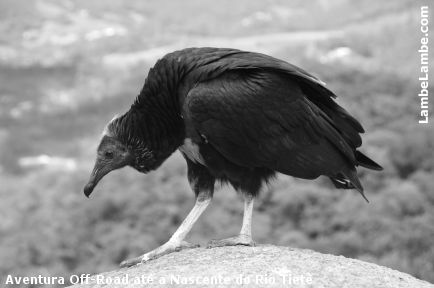 LambeLambe.com - Passeio Off-Road, Nascente do Rio Tiet�, Pico do Urub�, Pico dos Rem�dios